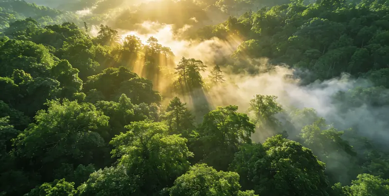 兴安盟肺癌13基因突变检测（组织）图片1