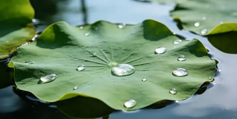 兴安盟乳腺癌21基因mRNA表达分析图片1